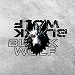 Logo da loja  Black Wolf Style