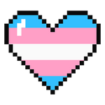 Logo da loja  TransBoy & TravaGirl