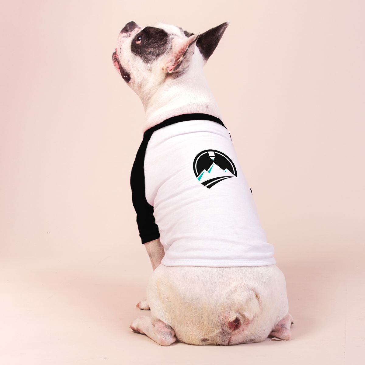 Nome do produto: Camisa Pet Dog - Montink