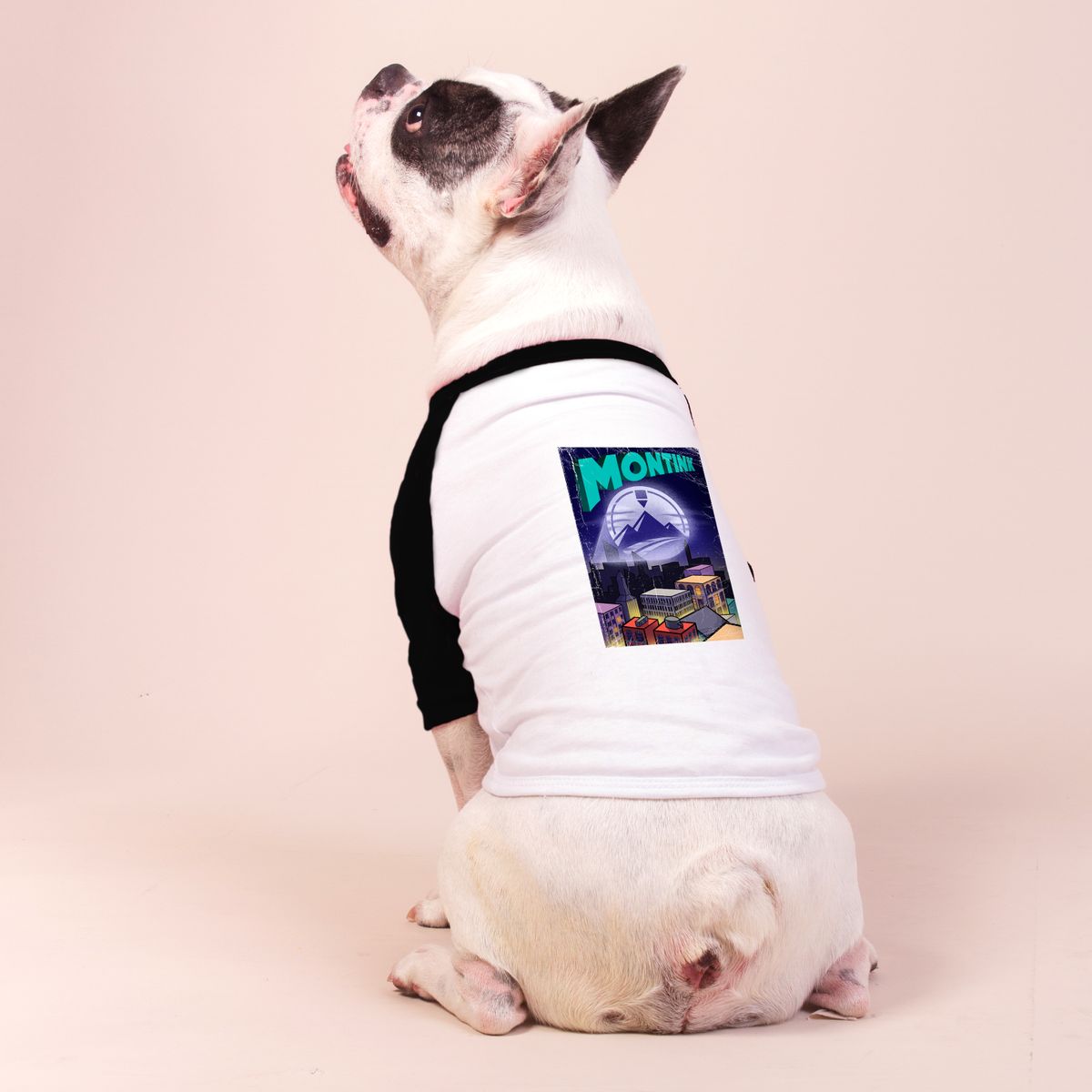 Nome do produto: Camisa Pet Dog - Montink Hero