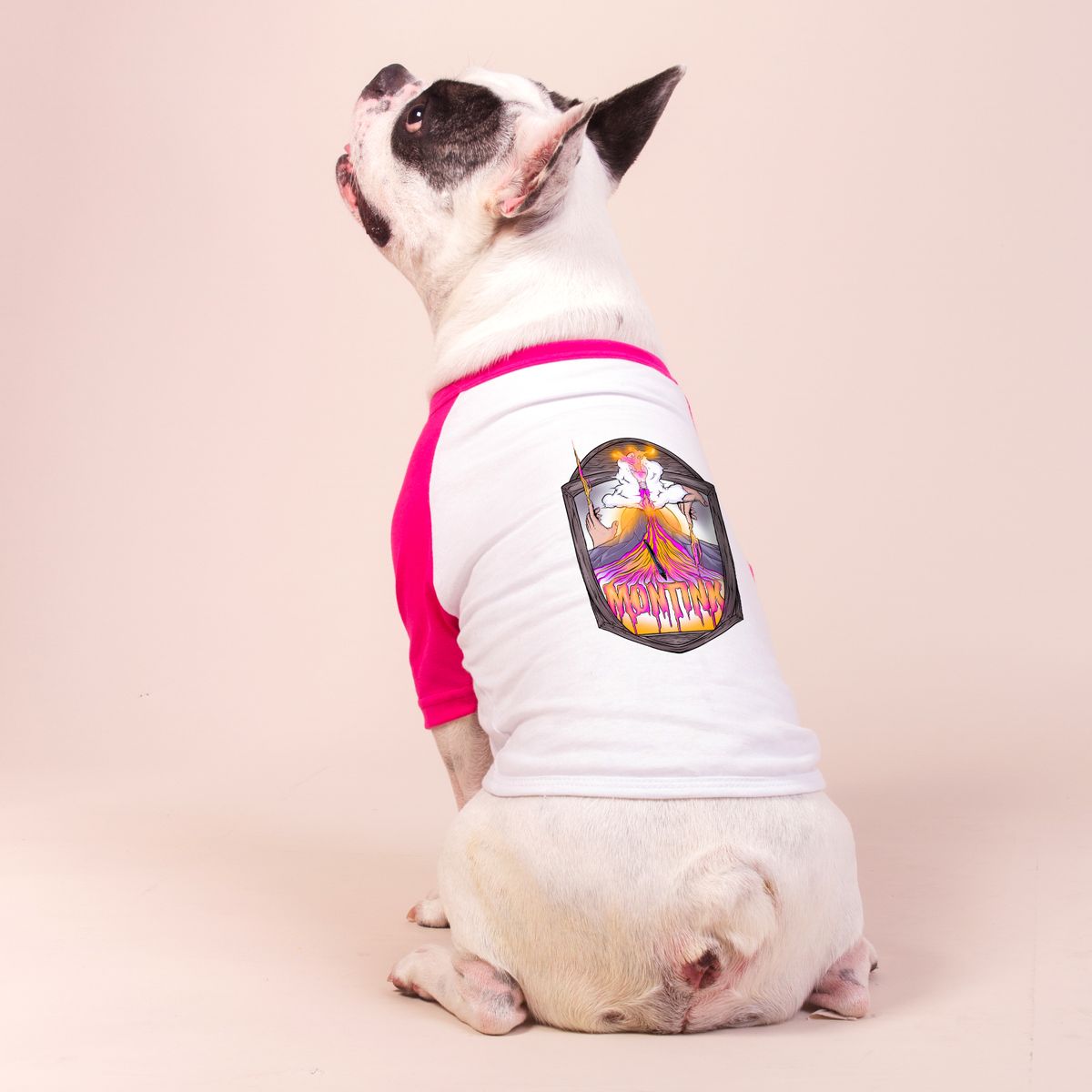 Nome do produto: Camisa Pet Dog - Montink Mountain