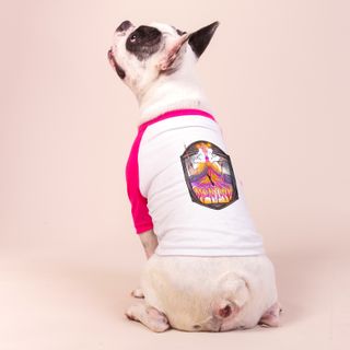 Camisa Pet Dog - Montink Mountain