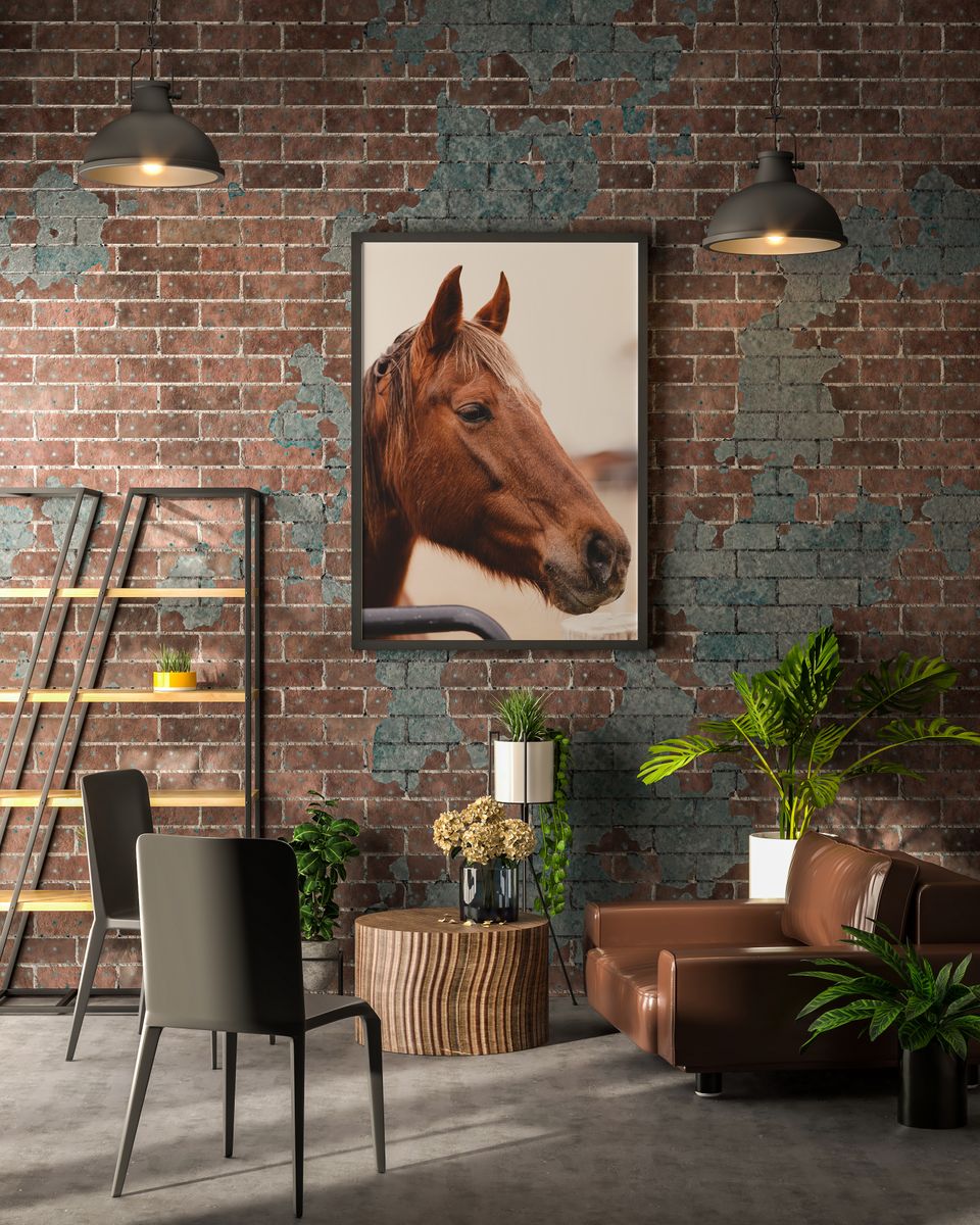 Nome do produto: Poster Horse