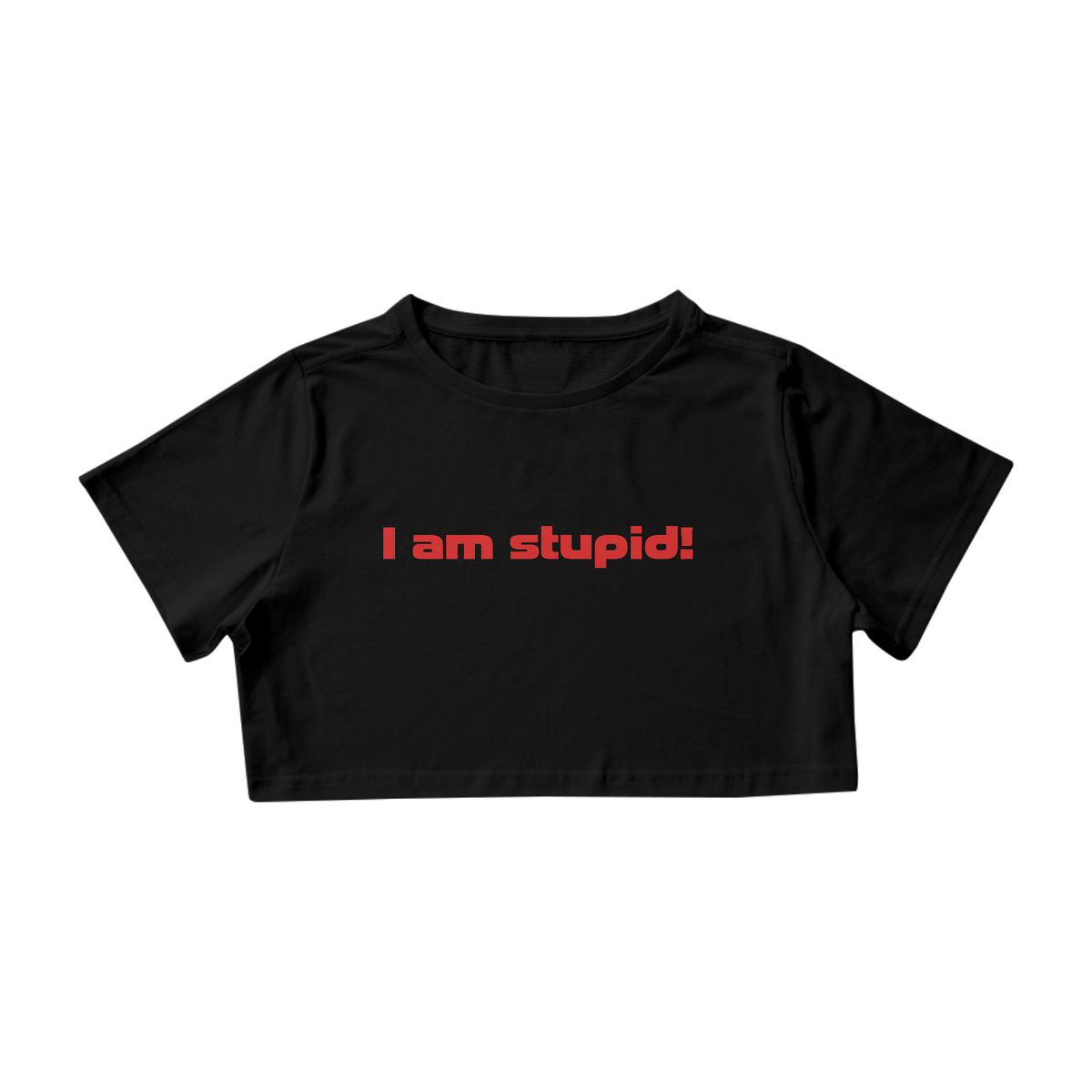 Nome do produto: I am stupid! - Charles Leclerc
