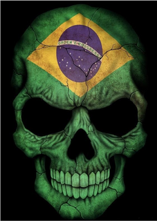 Poster do Brasil 6