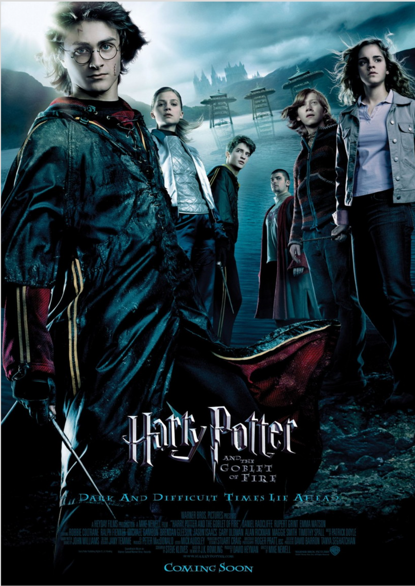 Nome do produto: Harry Potter e o Cálice de Fogo Poster 59x84cm