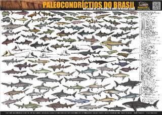 Poster PALEOCONDRÍCTIOS DO BRASIL