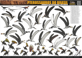Nome do produto  Poster PTEROSSAUROS DO BRASIL