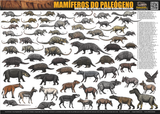 Poster MAMÍFEROS DO PALEÓGENO