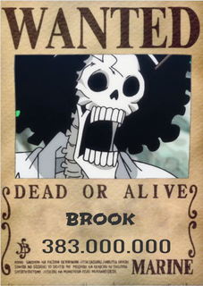 POSTER ONE PIECE BROOK
