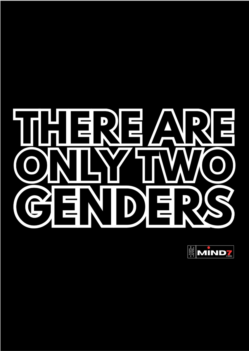 Nome do produto: Poster Paisagem There Are Only Two Genders