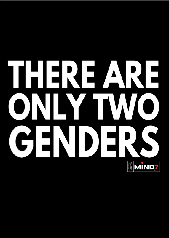 Poster Retrato There Are Only Two Genders