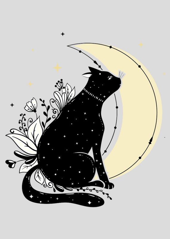 Pôster - O Gato e a Lua
