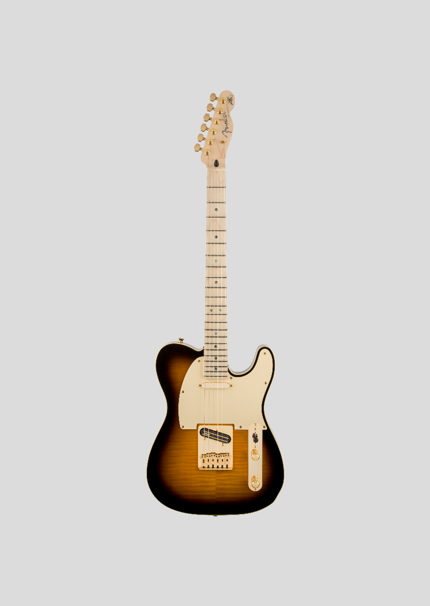 Nome do produto: Poster Retrato - Guitarra Fender Telecaster Richie Kotzen Siganture Tobacco Burst - Model 1