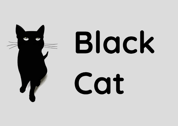 Poster - Paisagem - Black Cat 1
