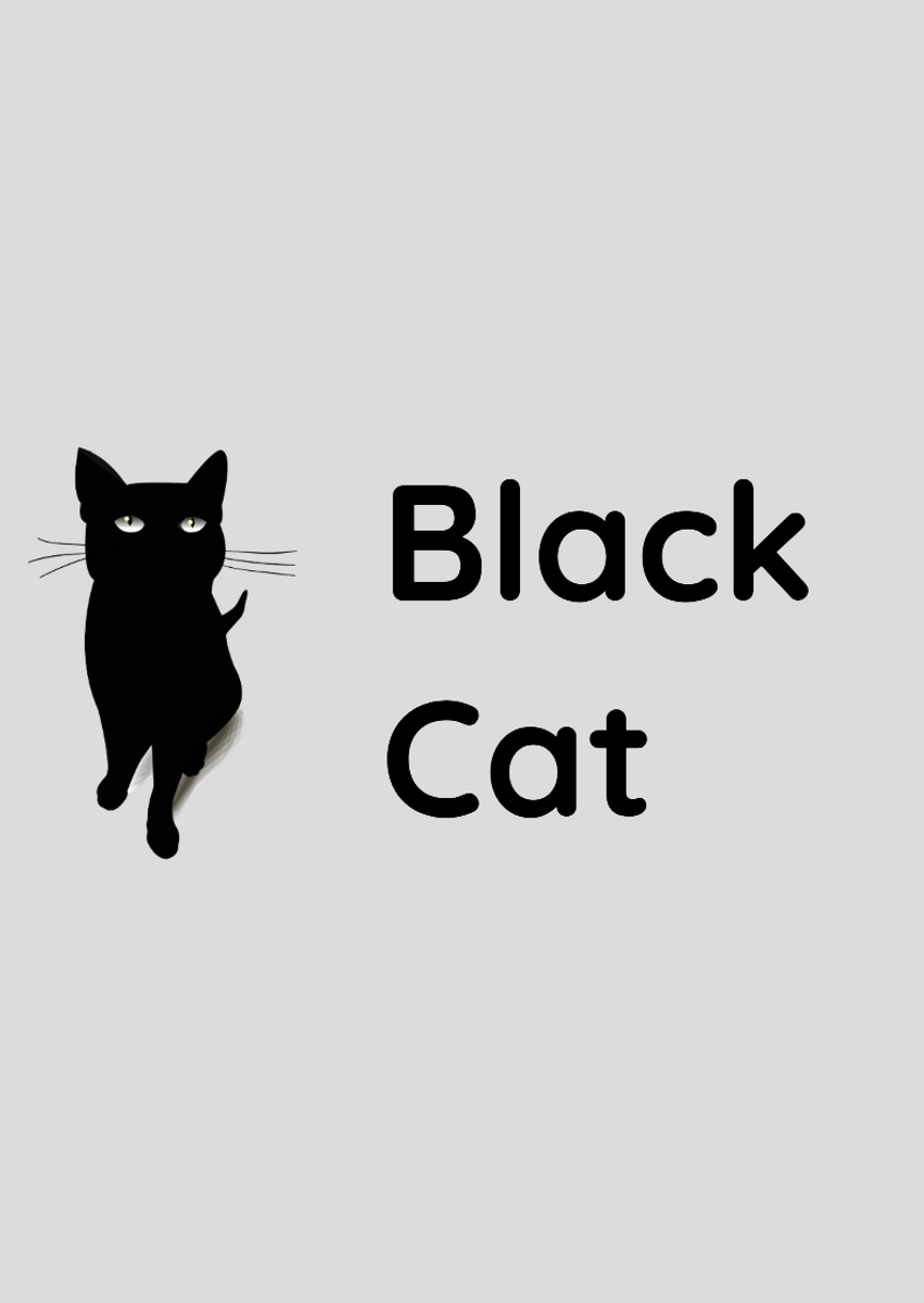 Nome do produto: Poster - Retrato - Black Cat 1