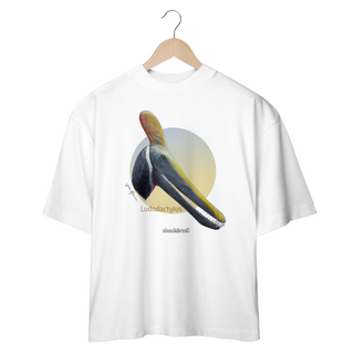 Nome do produtoT Shirt oversized Ludodactylus