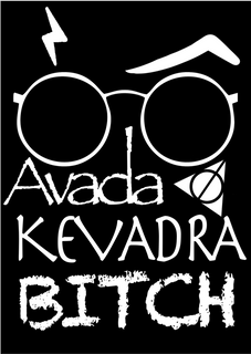 Nome do produtoHARRY POTTER - AVADA KEVADRA BITCH - Poster