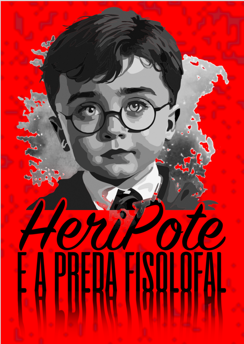 Nome do produto: HARRY POTTER - Heri Pote