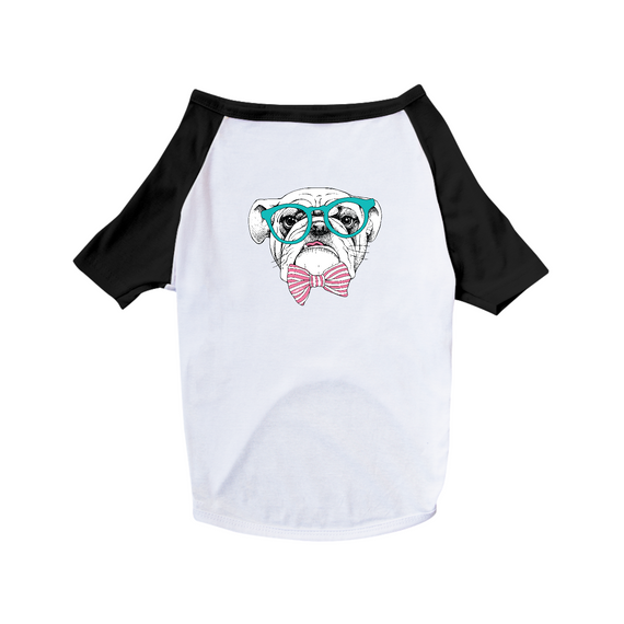 Camiseta para Cachorro - Bulldog Inglês de Óculos e Gravatinha