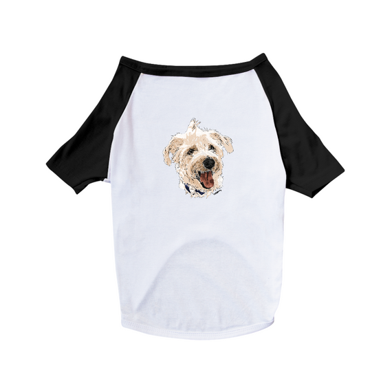 Camiseta para Cachorro - Vira-Lata Pintura Digital