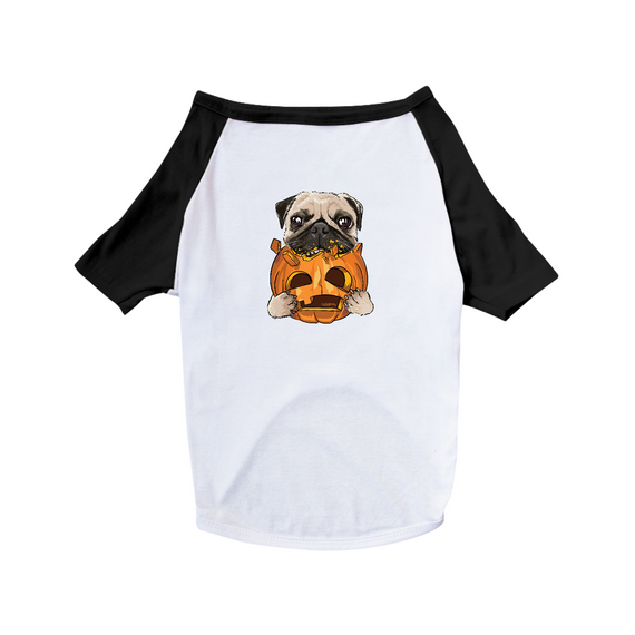 Camiseta para Cachorro - Pug Comendo uma Abóbora