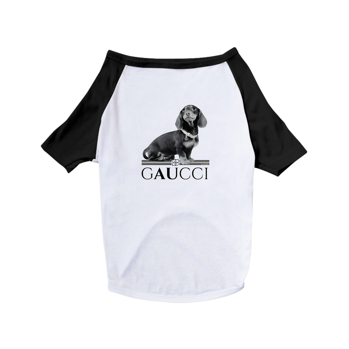 Nome do produto: Gaucci - Fashion Dog