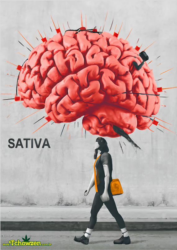 Poster Sativa