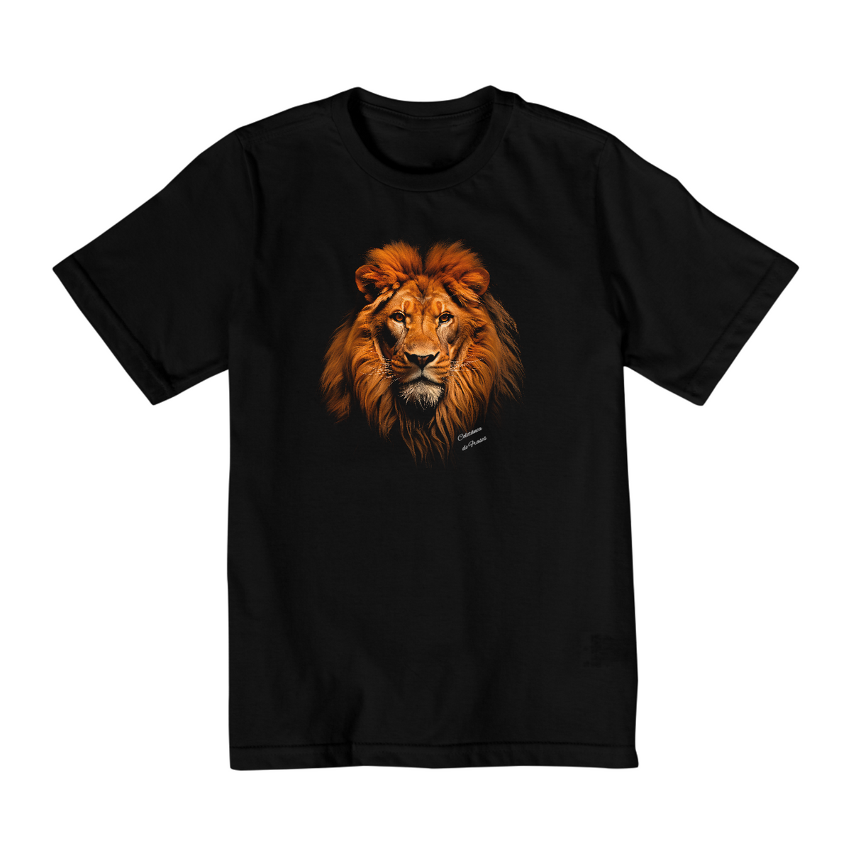 Nome do produto: Camiseta Preta Infantojuvenil  Leão Majestoso