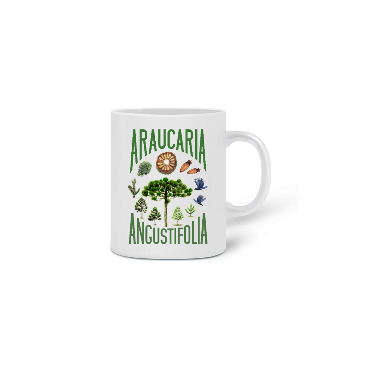 Nome do produto: Caneca Ciclo Araucaria angustifolia