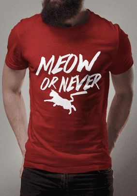 MEOW OR NEVER