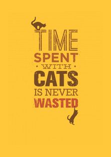 Nome do produtoTime spent with cats is never wasted