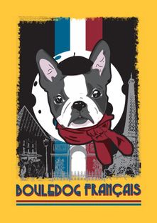 Nome do produtoCamiseta Bulldog Francês - Origem França