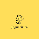 Logo da loja  jaguatirica modas 