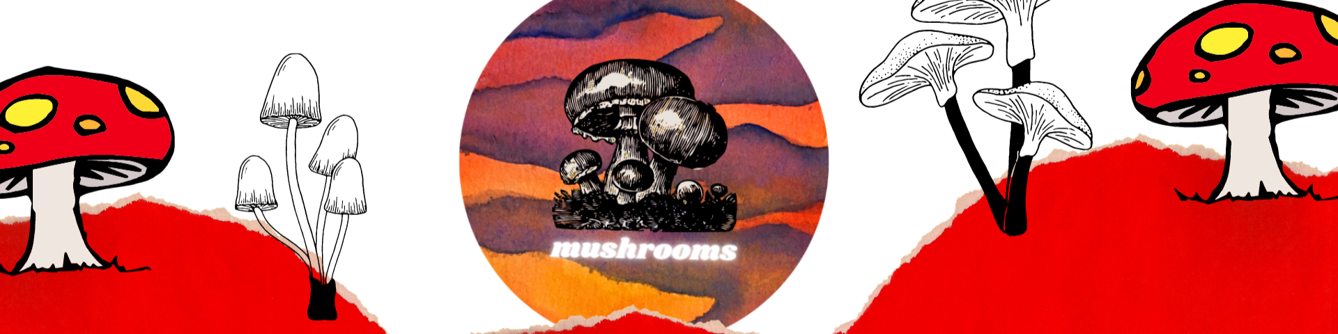 Nome da loja  Mushrooms
