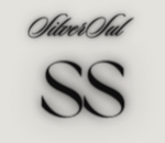 Logo da loja  SilverSul