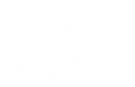 Logo da loja  DNZ