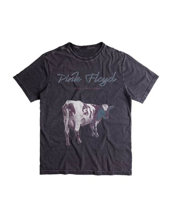 Camiseta Pink Floyd Atom Mind The Gap Co.