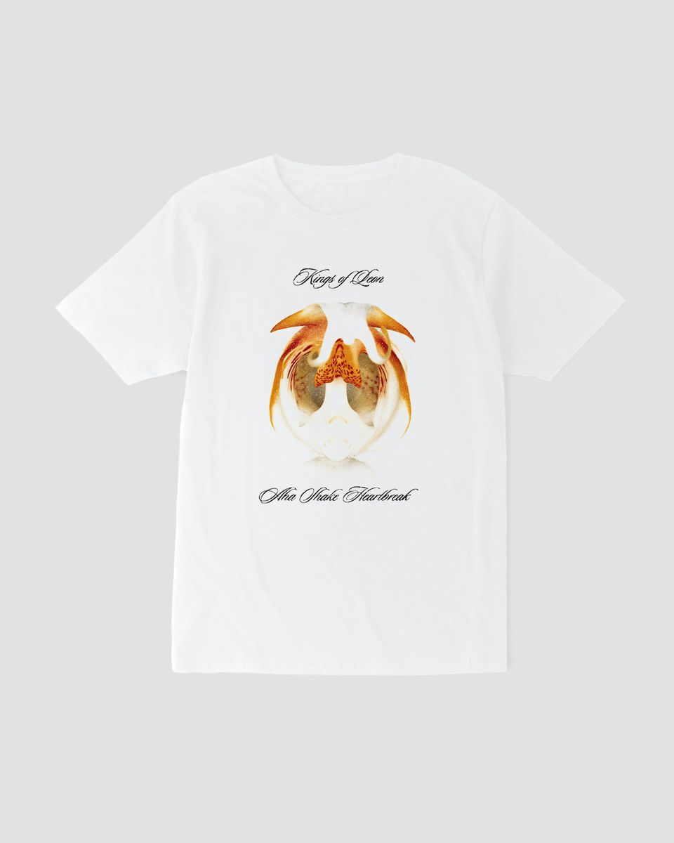 Nome do produto: Camiseta Kings of Leon Aha Mind The Gap Co.