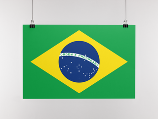 Poster do Brasil 11