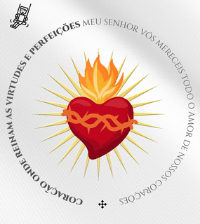 Camiseta Infantil Ministério Pietah - Coração Sagrado