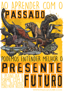 Nome do produtoBabyLong VERTEBRADOS