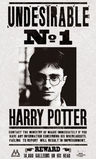 Nome do produtoHarry Potter Indesejável Nro.1