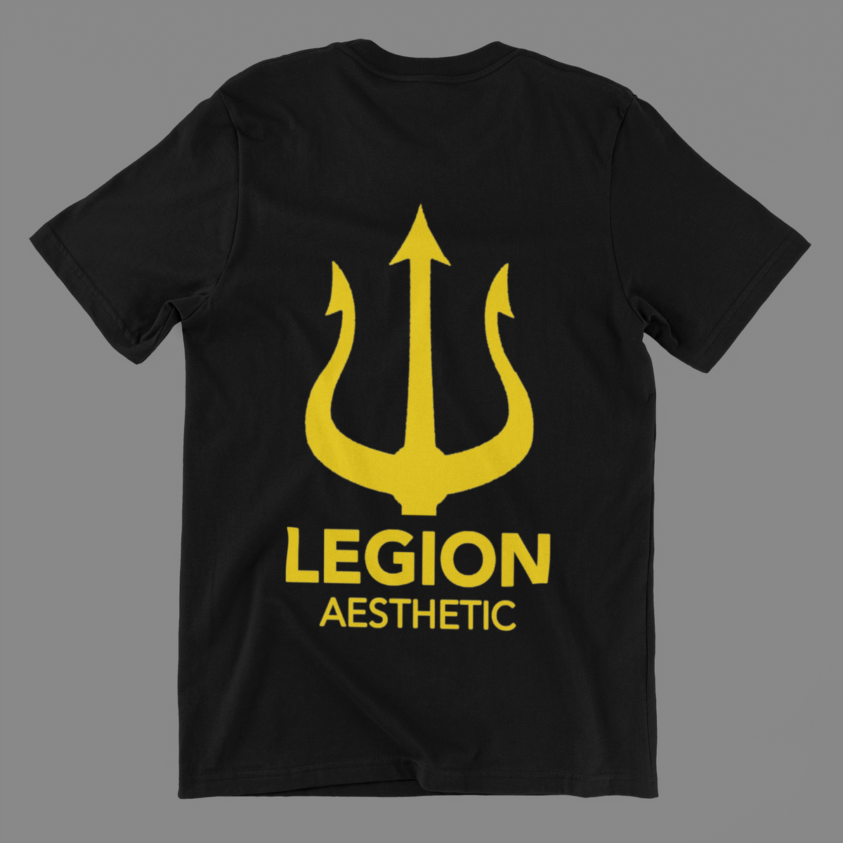 Nome do produto: Camisa Legion Aesthetic 02