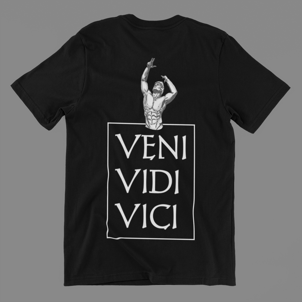 Nome do produto: Camisa Veni Vidi Vici