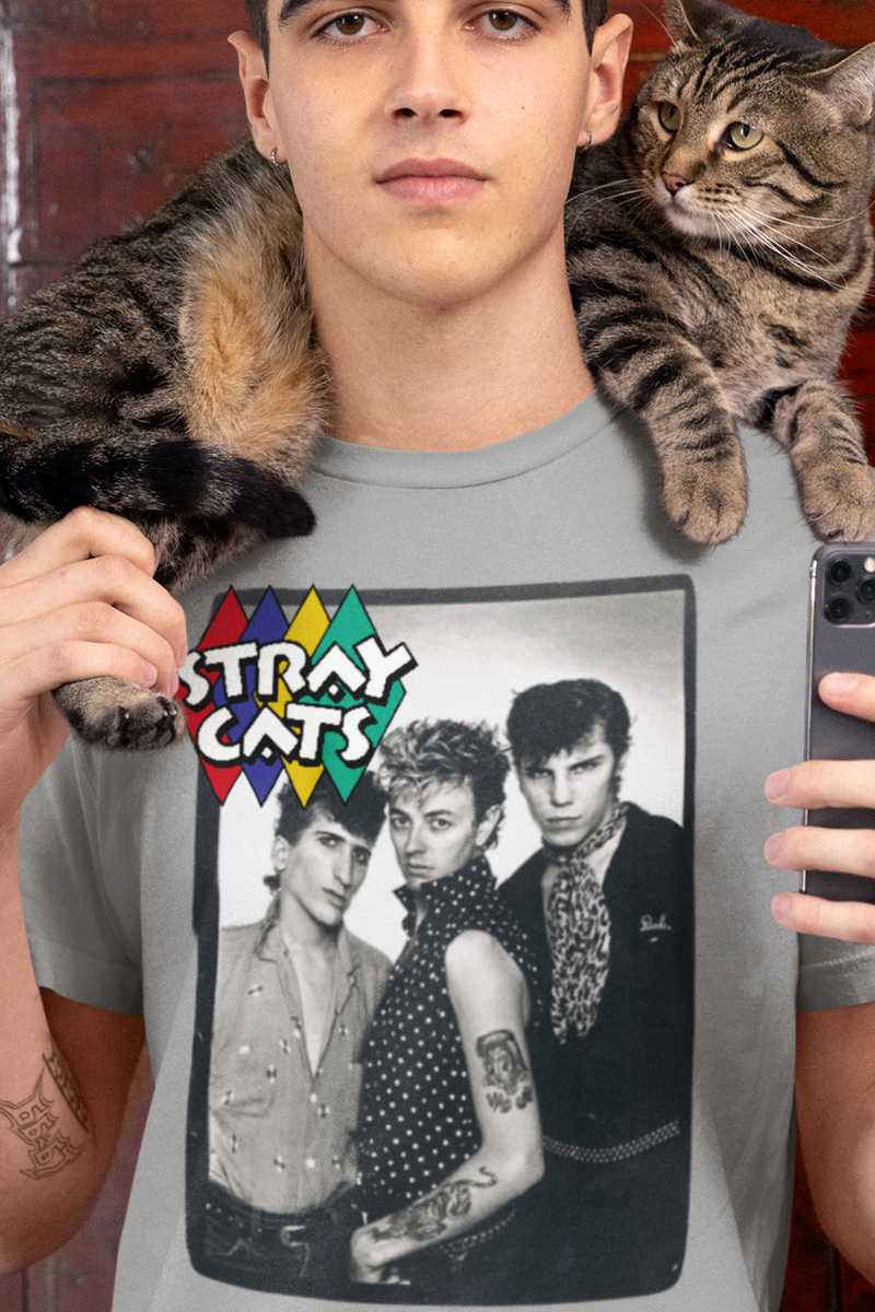 Nome do produto: Stray Cats