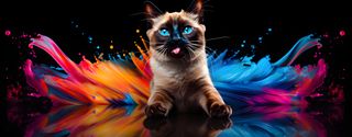 Nome do produtoCaneca Gato Siamês com Arte Digital - #Autenticidade 0005