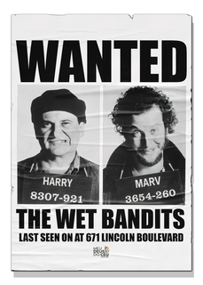 Cam. Unissex. - Bandidos Molhados - Wet Bandits - Esqueceram de Mim