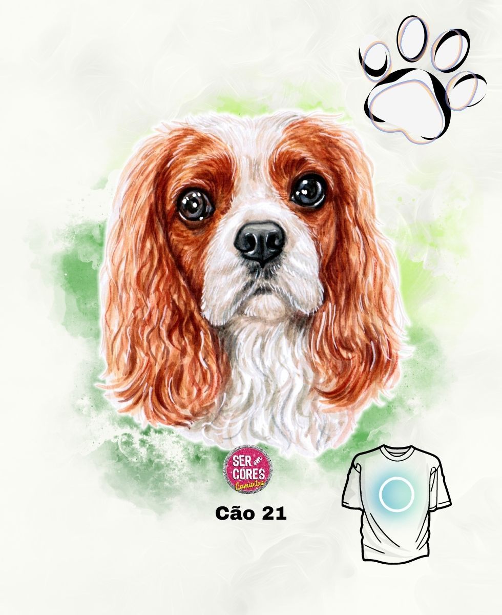 Nome do produto: Camiseta de Cachorro 21 (cavalier) Seremcores 