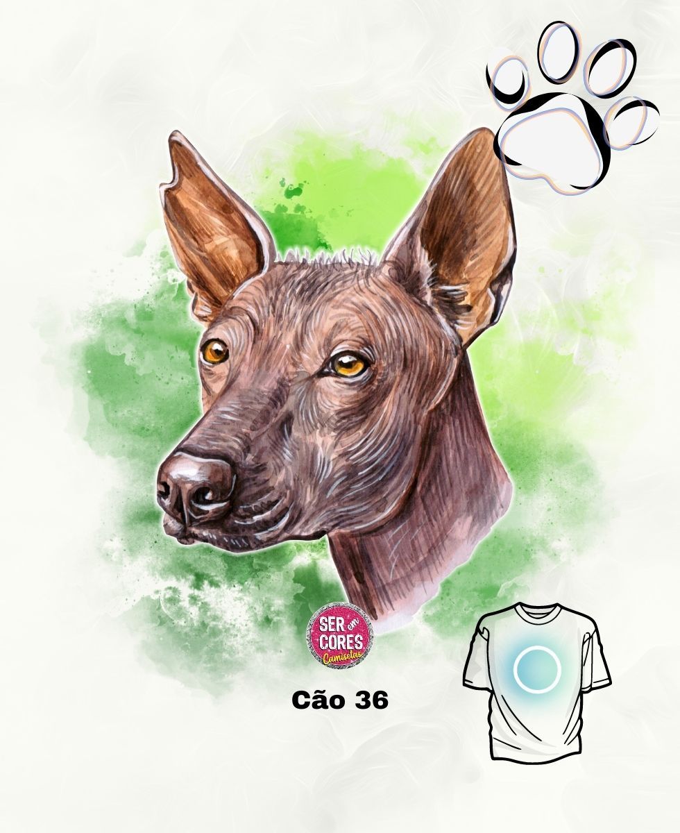 Nome do produto: Camiseta de Cachorro 36 (xoloitzcuintli) Seremcores 